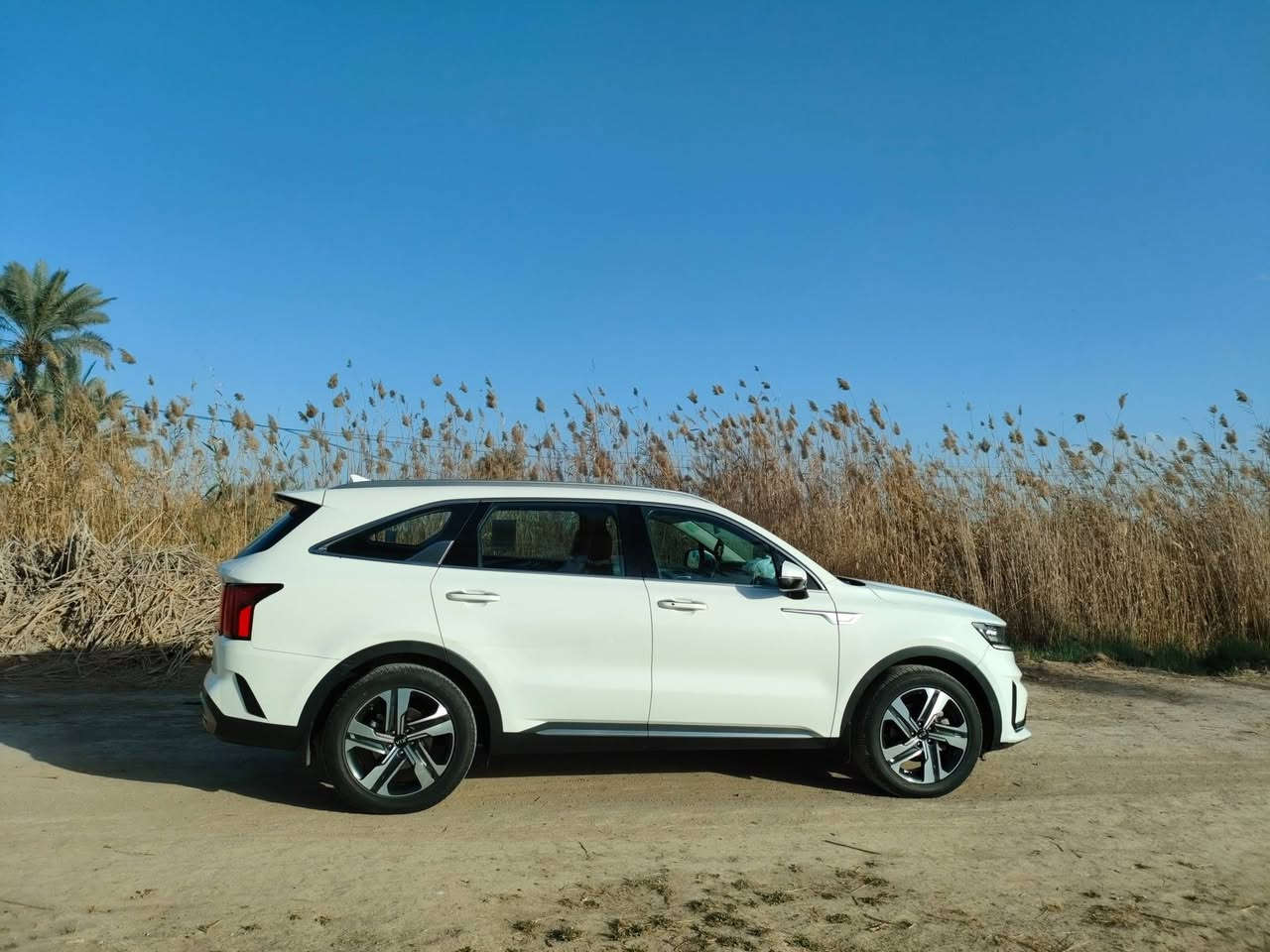 سورنتو خليجي 2021
السعر 268 $ 
ماشية 126
المكان بابل-سدة الهندية 
***********
***********
