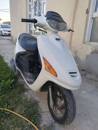 فحل • نضيفه • نجف