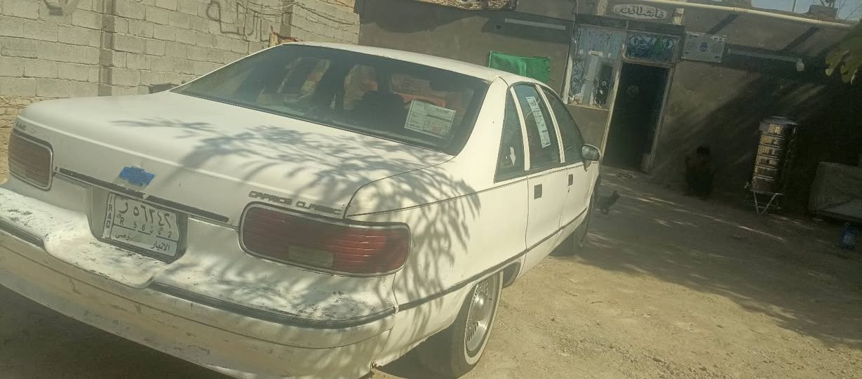 السلام عليكم دولفين مناسبه للبيع عنوان ذي قار الشطره *********** بلاد مكينه وقير
