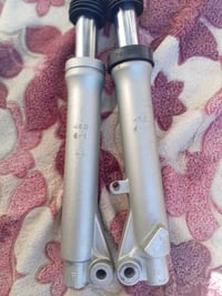 دبلات • ماكس منغولي • اصليات