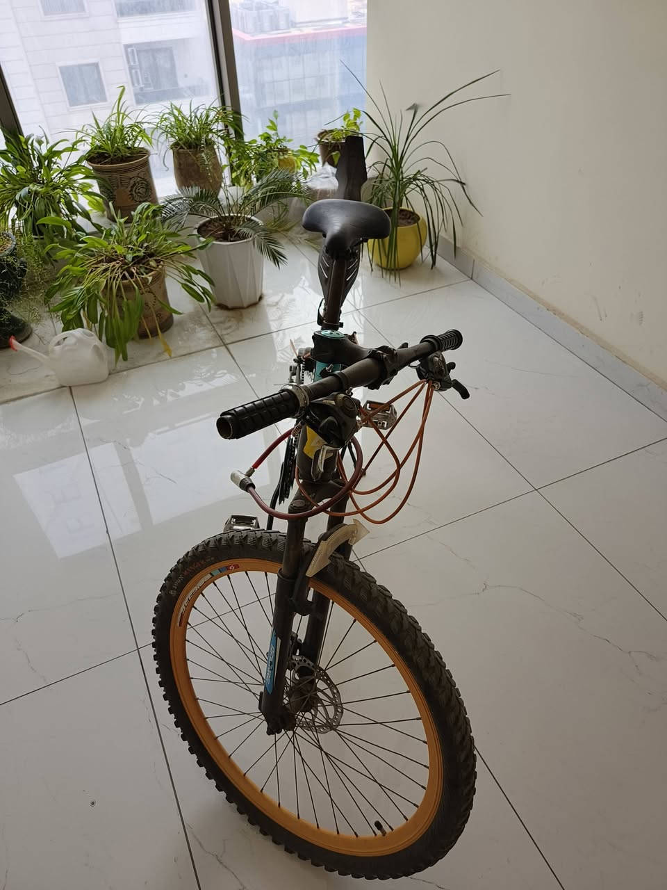 للبيع جبلي نظيف
گير جديد 10 نمرة 
ويل خلفي جديد 
ويل امامي مامبدل اصلي 
تايرات جبلي 
معاه قفل ومفتاح 
عجلة ورا مبدل جديد 
بايدار فافون اصلي 
السعر 65 الف فقط وبيه مجال 🔥
***********
