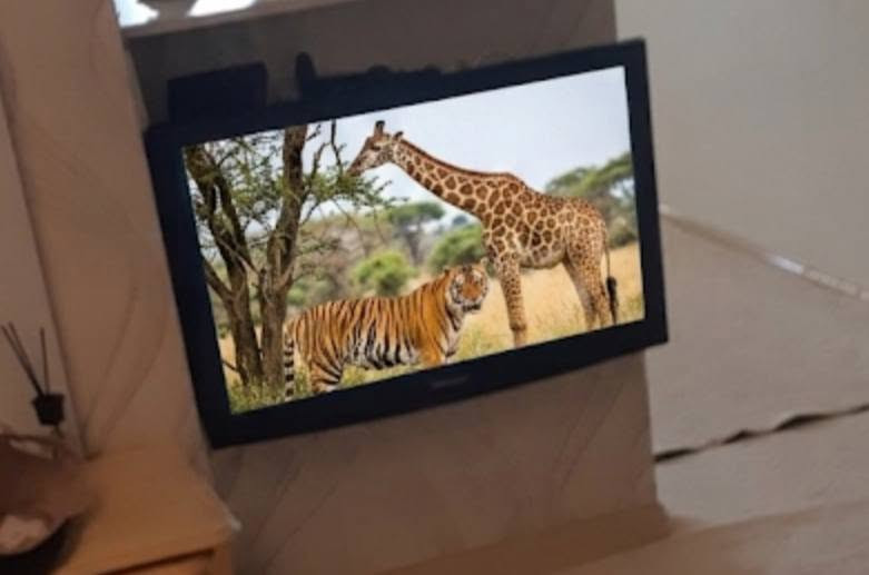 TV  شاشە  32  سامسۆنگ  زۆر  پاکە دەوروبەری سلێمانی


**إذا كنت صاحب هذا الإعلان وتريد حذفه لأي سبب، رجاءا أرسل رسالة إلى الدعم الفني**