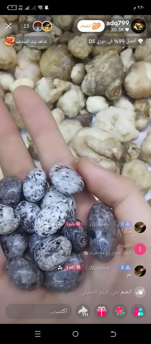 كلشي متوفر احجار طبيعيه مليار بالميه بالذمه انواع الاحجار هبهاب سلطاني عطف سليماني عقيق يماني عقيق طوحلبي اساور قلايد محابس زوعة حيه عراقيه ملكاط بالذمه


**إذا كنت صاحب هذا الإعلان وتريد حذفه لأي سبب، رجاءا أرسل رسالة إلى الدعم الفني**