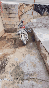 موطور تايكر • ٢٠٢١ • مسيمير