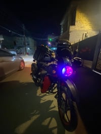 بوكسر • ٢١ • الدوره