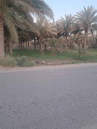 بستان • كربلاء الحسينية • ١٨٧٥م