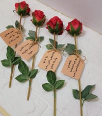 توزيعات • مولد الحسن • هدايا