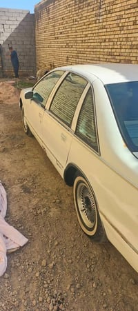 دولفين • ناصرية