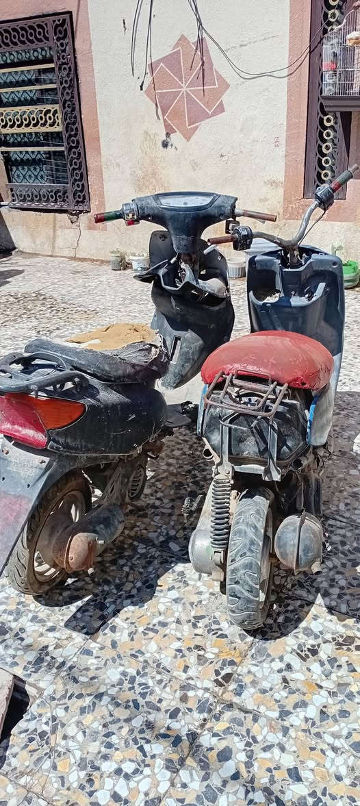 سلام عليكم وحده عصفوريه وحده منغوالي فحل ثنينهن ٧٠ قفل كوم حديد تجي تحمل وتروح كربلاء حي الغدير


**إذا كنت صاحب هذا الإعلان وتريد حذفه لأي سبب، رجاءا أرسل رسالة إلى الدعم الفني**