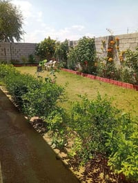 قضاء النعمانيه • ٥٨٠م • سند ٢٥
