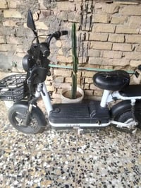 دراجة شحن • بغداد الحسينيه