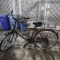 ياباني • حله • شارع ٨٠