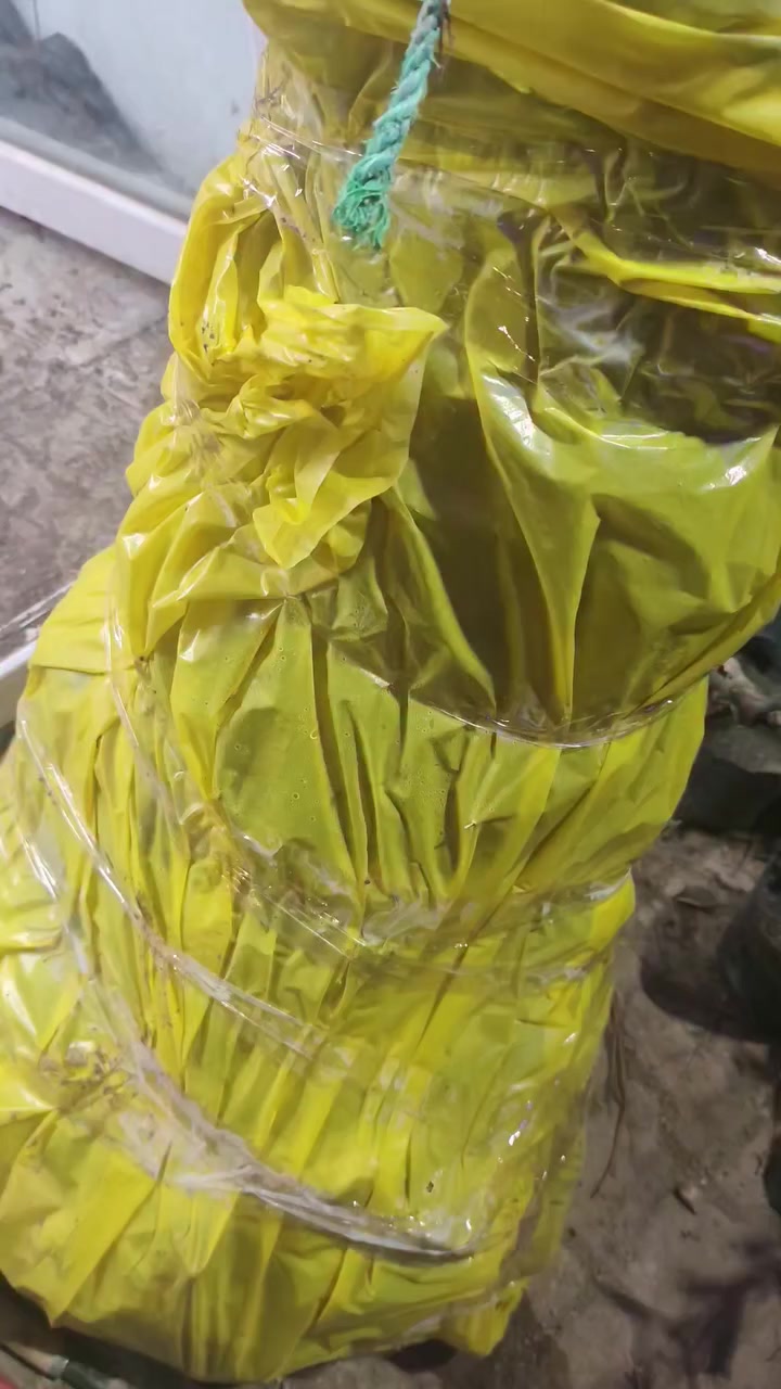 بسم الله الرحمن الرحيم 
تتوفر شتلات من الرمان الأمريكي الوندر فل الاصلي.والتكي الكندي الاصلي وباحجام كبيرة جملة ومفرد 
السعر 5 الاف 
الشتلات تنخيل 
للطلب *********** واتساب 
يوجد توصيل لجميع المحافظات
