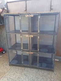 بصره قبله • ديكور • حديقه