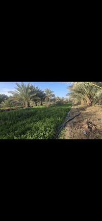 طوريج كربلاء • أرض