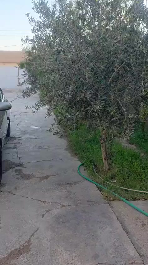 السلام عليكم النترا  رقم بغداد  موديل ٢٠٠٦   صبغ عام جماليه
مكينه كير خير من الله تبريد تدفئه حداديه دوشمه تايرات جدد سنتر لك شاشه كامره فول على الخير سعر ٧٨ وبيها مجال مكان ديالى 
《***********》《***********》
