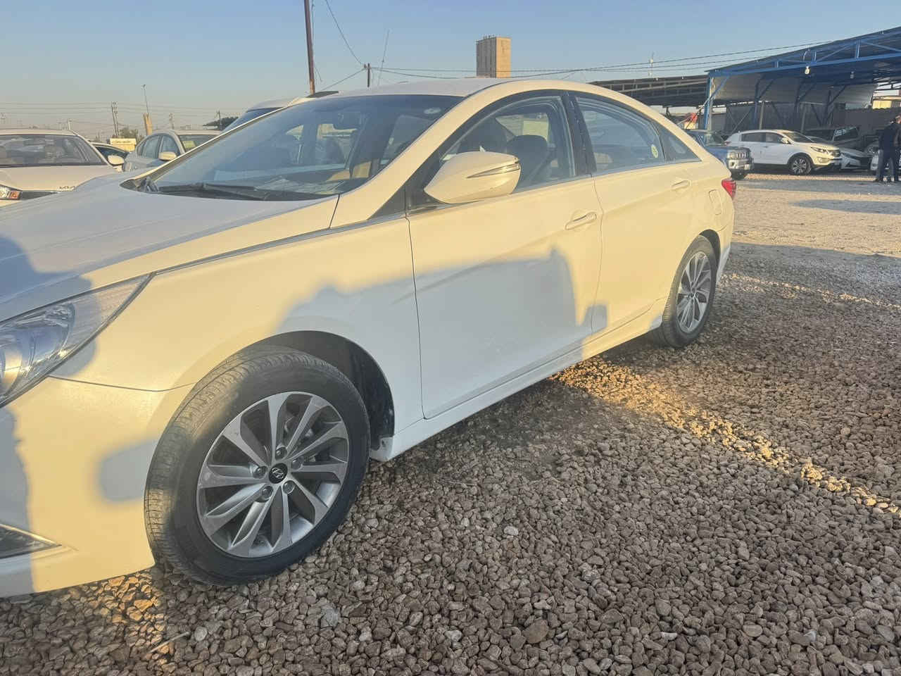 السلام عليكم 
سوناتا موديل 2014 خليجي محرك 2400 دوش 
رقم اربيل انكليزي سنوية ورقم جديد مكفولة من الصبغ بيها كارتات موضح بالسونار ومرفق السونار مع الصور السيارة جاهزة من كل شي موجودة بالديوانية السعر 131 وبيها مجال 
للاتصال ***********
