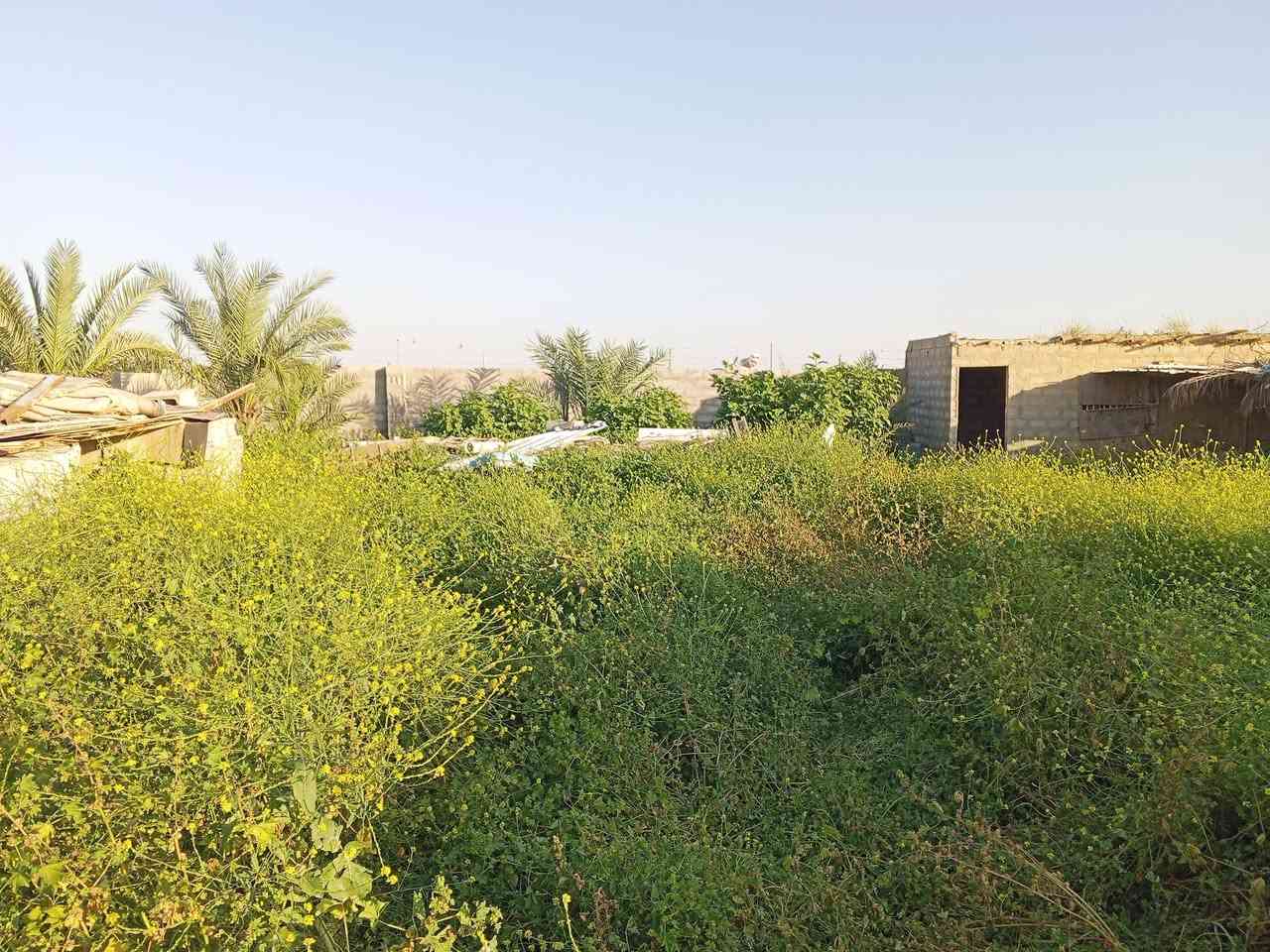 مزرعة للبيع المساحه  دونمين اوربع ليلان خلف معمل الغاز تحتوي على بئر  ماء حقل أشجار مثمره  بيت ***********
