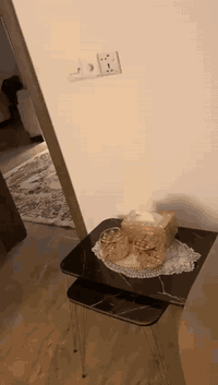 سلام عليكم
بيت ١٠٠متر مربع في بداية الدوانم ٣فرع من يم نهاية سياج المعمل قاطين مكون من 
غرفتين نوم 
وصاله ومطبخ
ديوانيه كبيره
وحمامات ٣
ومنور
الاتصال على الرقم. ***********
