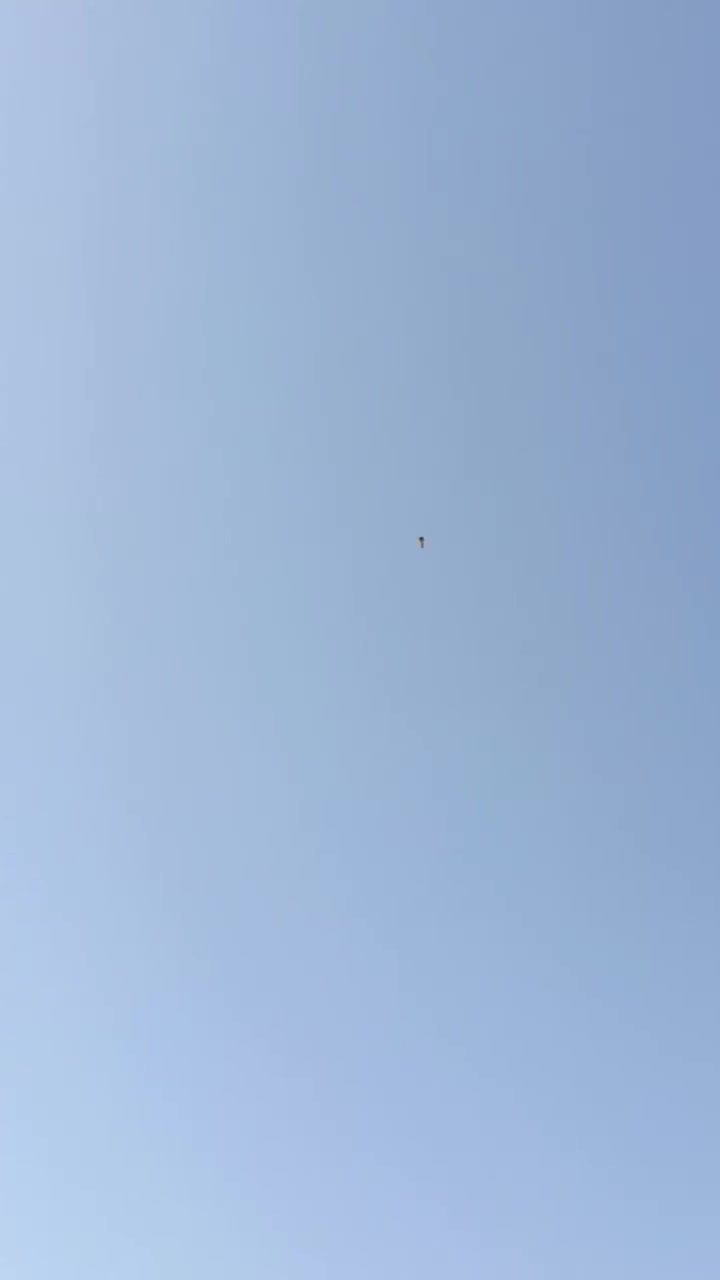متاح بس افراخ   مو نفس العمر
ذن امهاتهن طيره طايره وفحل ماعندي تصوير 

مكاني البصره 

س٢٥الف


**إذا كنت صاحب هذا الإعلان وتريد حذفه لأي سبب، رجاءا أرسل رسالة إلى الدعم الفني**