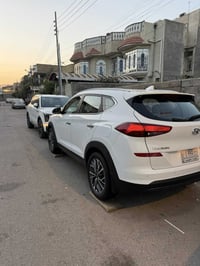 فول مواصفات • ٦٦ ألف • البصرة