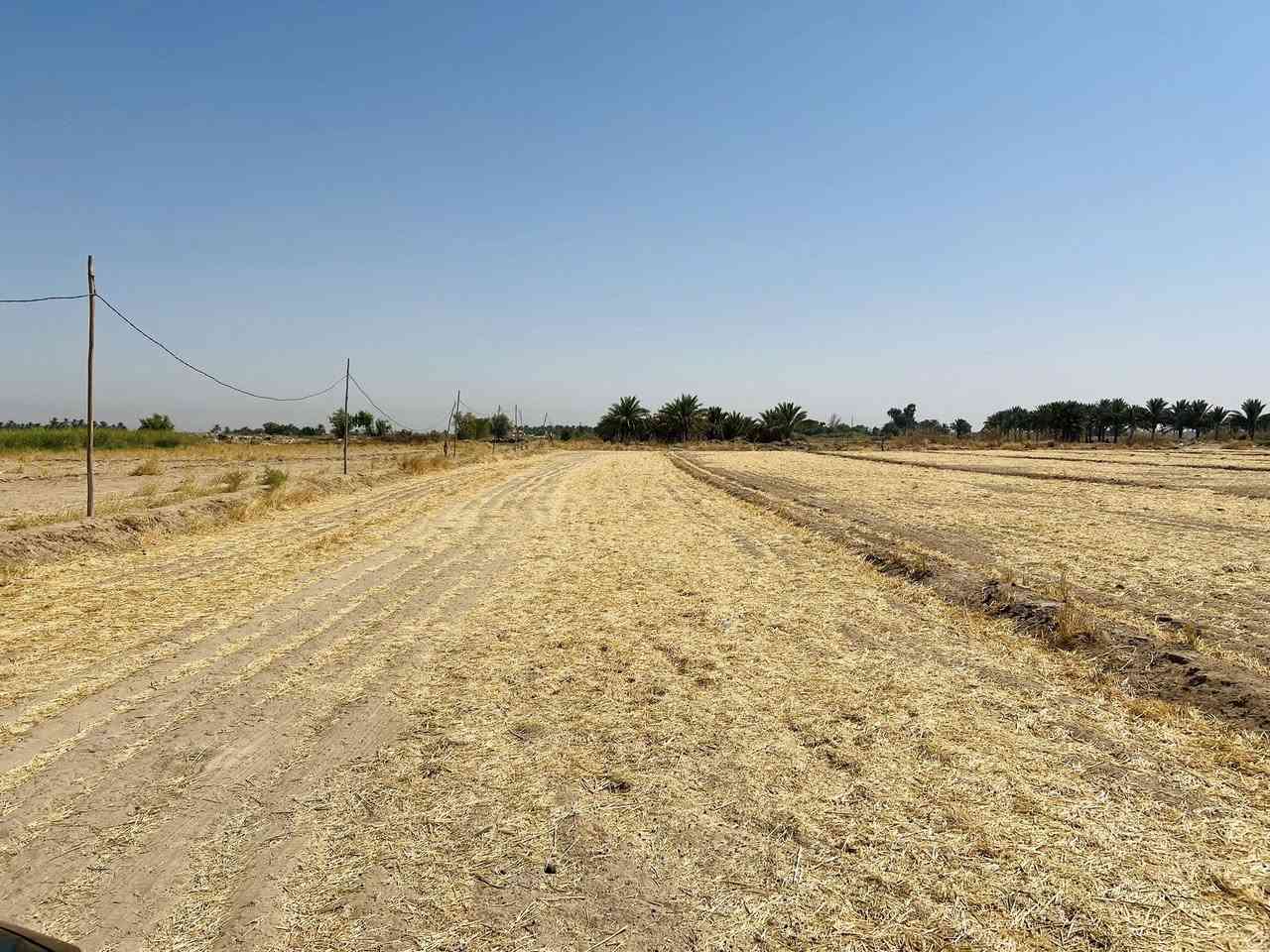 سلام عليكم ارض زراعيه للبيع 
عقد 117 المساحه 4 دونم 
العنوان طريق كربله - نجف عمود 301 يا حسين 
كافت الخدمات ‭0783 885 1910‬
