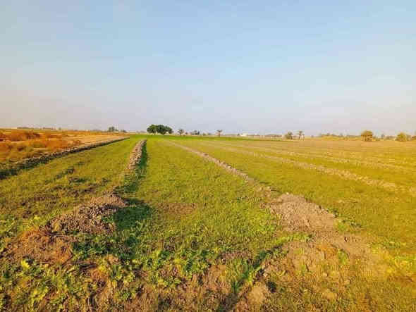 انته صاحب استثمار وامكانيه قليله ✅
جايبلك 5 خمسة دوانم بسعر 35 مليون فقط
يعني الخمس دوانم كلهن ب 35 صايرات على
شارع 10 مترات وواجهية الدونم الواحد 45×55
يعني مربع طابو زراعي سند 25 ولضمان حقك افتحلك
بيان اله استلم منك المبلغ العنوان تاجي سبع البور 
منطقة الشيخ عامر بلعيساويه منطقة العيساويه تبعد
عن مدينة سبع البور 15 دقيقه وعن السوك وبنات الحسن
10 دقايق تواصل واتساب متوفر ***********
