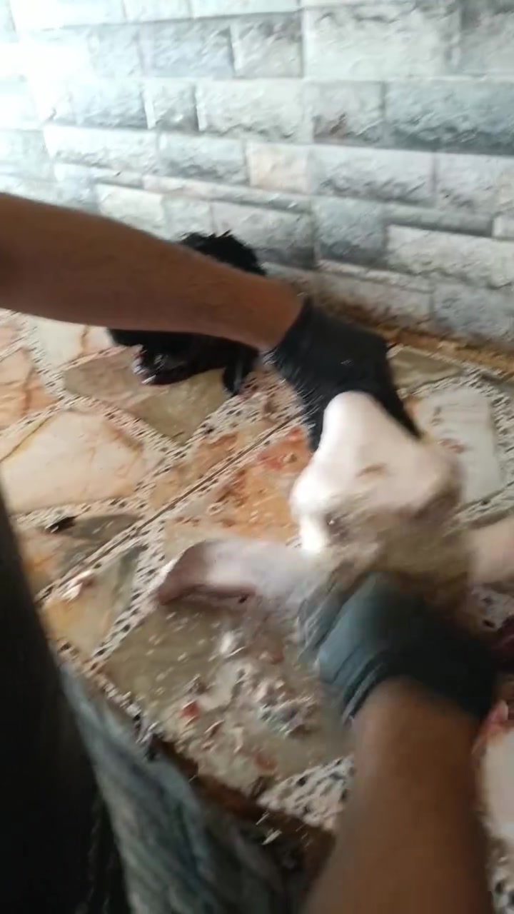 السلام عليكم باجاة طلي 2ب 25
كراعين مال حولي 4 ب 30
سوق الباشا تكريت رابع محل عن الكصاصيب تكريت 
***********

