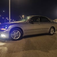 شاهينة • بدون نقص • البصرة التنومة