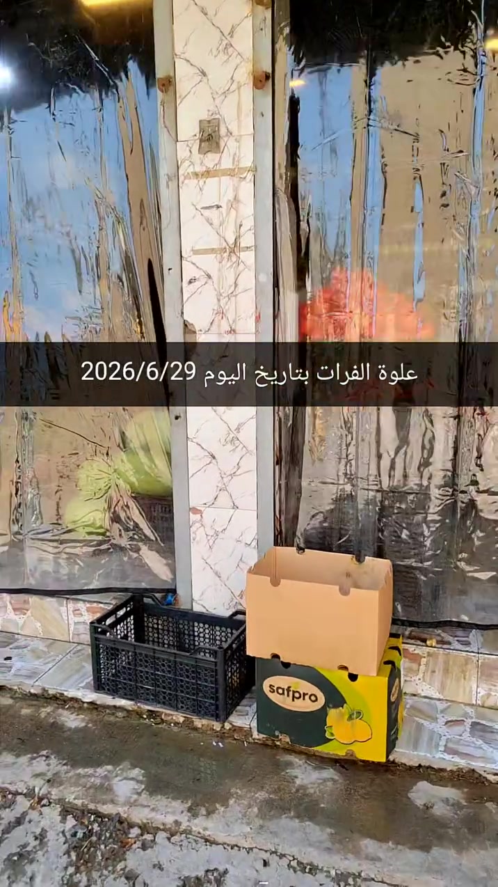 كميات خير من الله لحك الاسعار 👇
مع علوة الفرات لاتحتار وفرنالكم فواكه ومخضر درجة اولى  وبأنسب الاسعار تاريخ 29/6/2026 جملة او كيلوات تجهيز مطاعم ايضا باسعار الجملة 🤞
علوة الفرات مدخل الفرات حسينية المصطفى 
حياكم الله تشرفونا 
للاستفسار ***********
توصيل موجود لباب بيتك 
الدوام من 6 صباحا الى 10 ليلا

اسعار اليوم قسم  الخضار ؟

خيار  مائي 3 كيلوات ب 2000 دينار
خيار طعروزي.     3 كيلوات 2000 دينار
بيتنجان اسود عراقي     3 كيلوات ب 2000 دينار 
بصل 3 كيلوات      2000 دينار
بتيتة 3 كيلوات.     2000 دينار
طماطة 5 كيلوات.   2000 دينار 
لهانة   750 
قرنابيط      1000 دينار 
فلفل حار 1000 دينار 
فلفل بارد 1250
شجر ناعم 1000 دينار 
بانية بترة 2000
لوبية 2000 
فاصولية خضرة 2000
ثوم 3000 دينار 
جزر 1000 دينار

اسعار قسم الفواكه 
تفاح عراقي كبار 1250
تفاح احمر 1250
عرموط 1500
الو احمر عراقي 1500 دينار 
برتقال مصري 1500
عنب 1500
موز 1500 
مشمش 2500
كرز 3500

ليمون 2500 
بطيخ درجى اولى عراقي دبل 750  الكيلو 3 كيلوات
 ب 2000
ركي 600 عل سجين وعل ذوق

قسم المخللات 
خل درجى اولى 1000 دينار
بطل ليمون 1500
طرشي بيتي نص كيلو مشكل 2000 دينار
طرشي بيتي خيار ربع كيلو 1000 دينار
طرشي معمل علب اصفر او اسود او وشونذر 1500

اخوان مخضر وفواكه جاي نوفرها درجى اولى شوفت عينك
اول بأول
