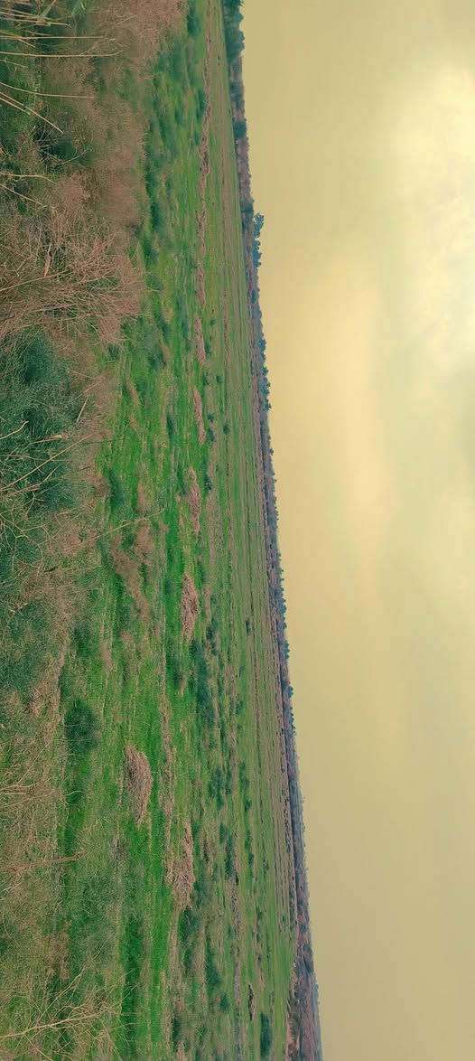 ارض للبيع 15 دونم طابو ماء صيف شتاء +كهرباء طريق رسمي طريق دغاره شوملي يم صوره الشهداء العويدي تبعد عن الشارع العام كيلو واحد *********** واتساب
