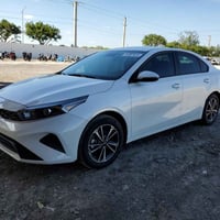 فورتي LX • ٢٠٢٤ • تخريب