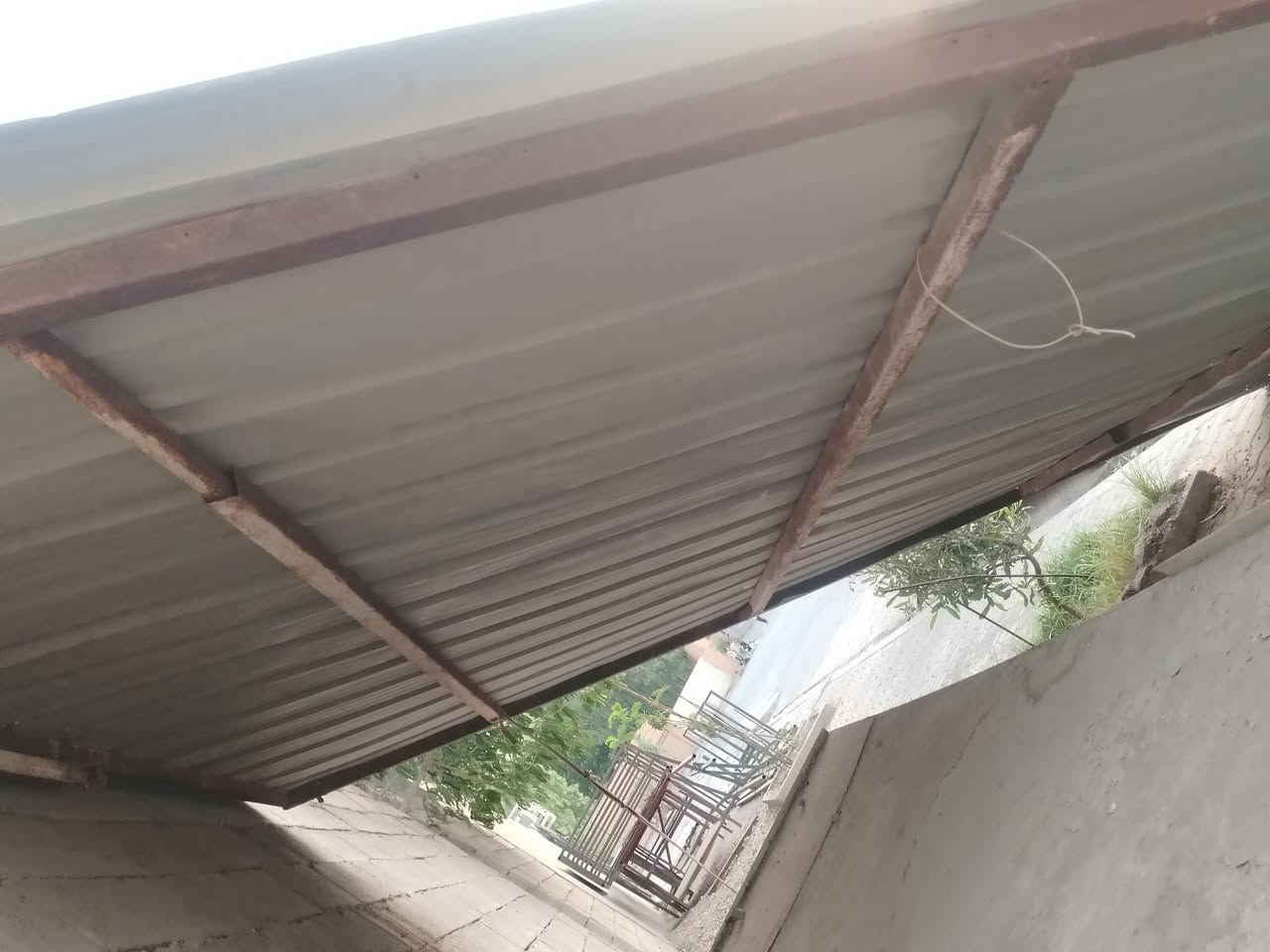 السلام عليكم شينكو للبيع


**إذا كنت صاحب هذا الإعلان وتريد حذفه لأي سبب، رجاءا أرسل رسالة إلى الدعم الفني**