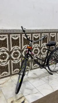 باسكل بنتاي • صبغ قليل • ناصريه مركز