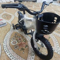 بيسكل • جديد • صغير