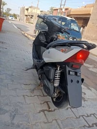 ثعلب • دراجة جديدة • ابو غريب الحصوه