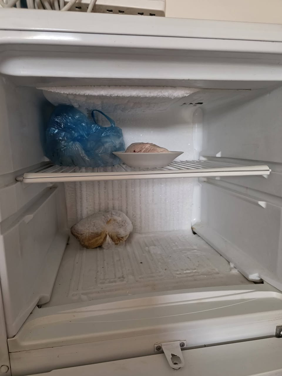 للبيع ثلاجه ٢٢٥وكنتور ٢٢٥
مكان الدورة


**إذا كنت صاحب هذا الإعلان وتريد حذفه لأي سبب، رجاءا أرسل رسالة إلى الدعم الفني**