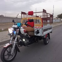 ستوته 2023 • كمرك مدفوع • فحل عالي