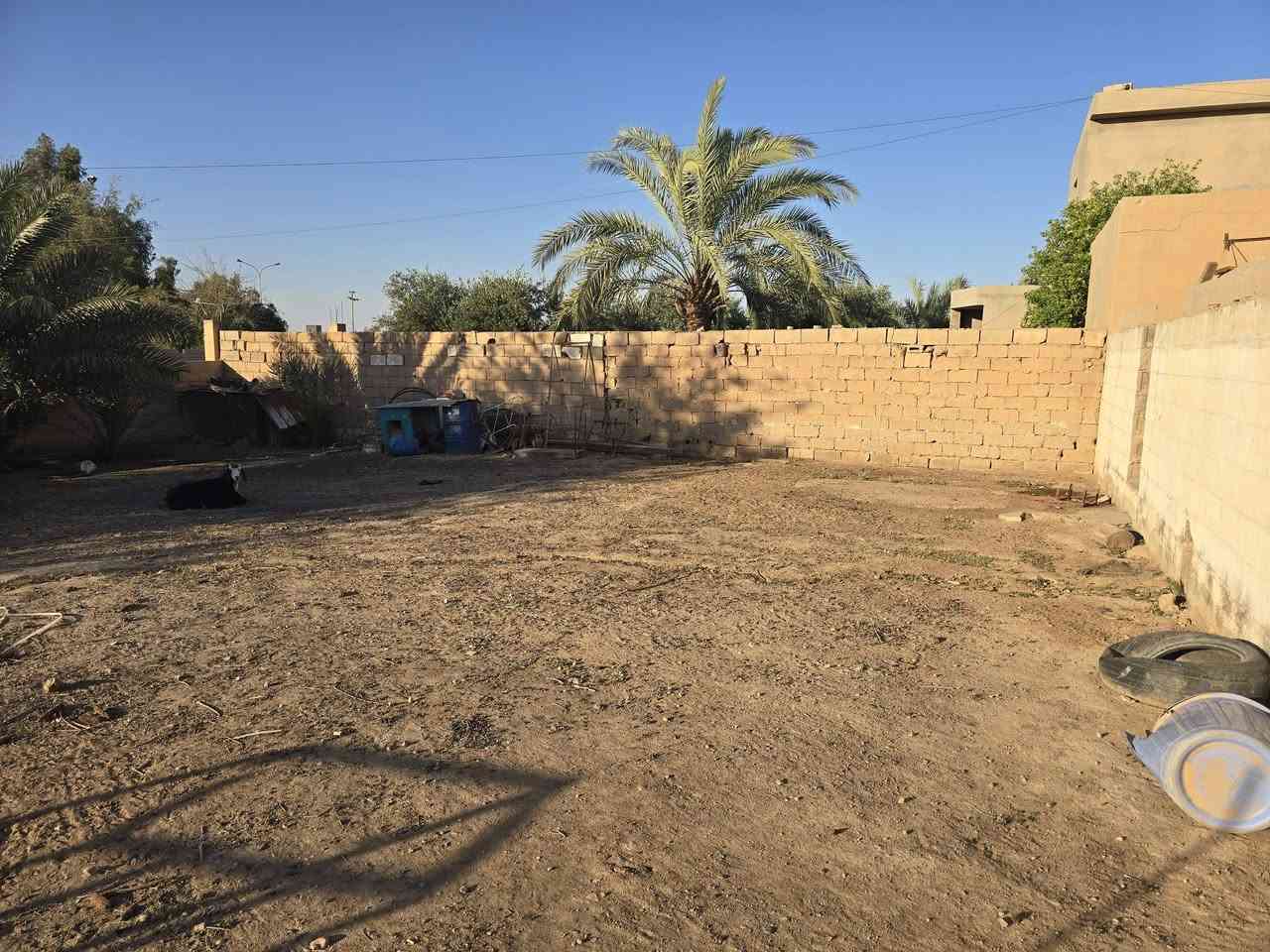 للبيع بيت نوع سيوان( C1) في مرحلة السمنت ع الشارع العريض بين الثالثه والسمنت يحتوي على حديقه خلفيه كبيره جدا مطله ع الشارع العريض مع اضافات للمنزل كما موضح في الفيديو للتواصل ع الرقم ***********
