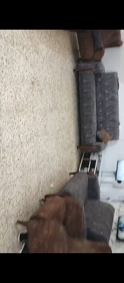 للبيع مكان بغداد


**إذا كنت صاحب هذا الإعلان وتريد حذفه لأي سبب، رجاءا أرسل رسالة إلى الدعم الفني**