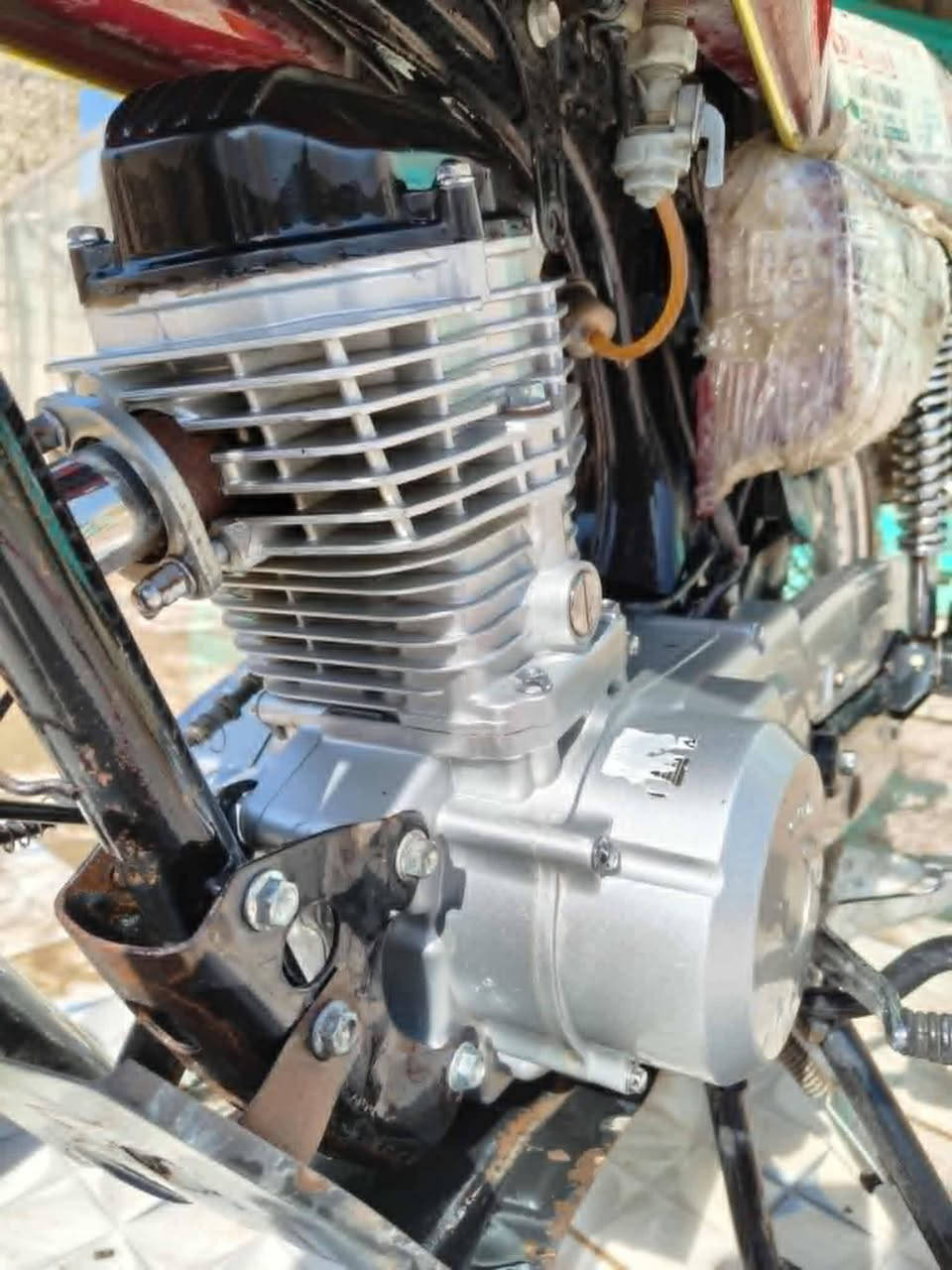 سلام عليكم
دراجه البيع نضيفه فول نضافه ماعايزه شي 

تايگر اربعه گير اوراق محرك ما مفتوح 

المكان نجف كوفه 

سعر الدراجه 800

 وبيه مجال 
ما متواجد عل خاص رقمي ***********
