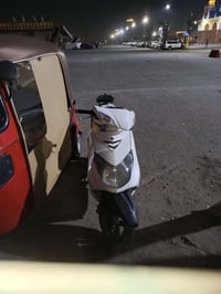 مرخصت مدير الكروب عندي سكنس فحل للبيع او امراوس بثعلب مكاني الزعفرانية...