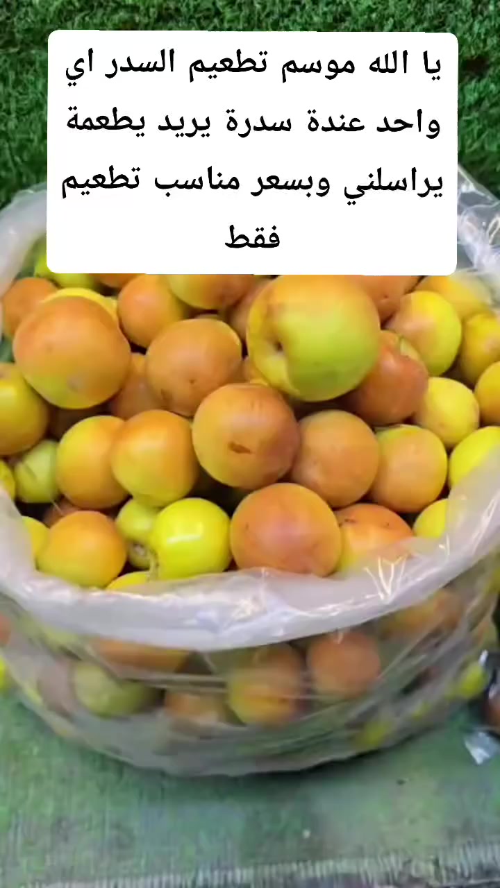 تطعيم السدر التفاحي مكاني قضاء الفهود


**إذا كنت صاحب هذا الإعلان وتريد حذفه لأي سبب، رجاءا أرسل رسالة إلى الدعم الفني**