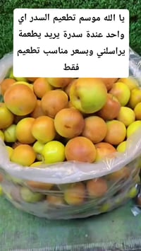 تطعيم • سدر تفاحي • قضاء الفهود