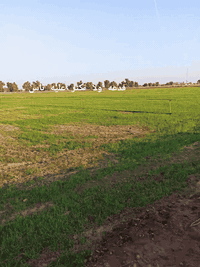 حمام العليل • مزارع • قرب النهر