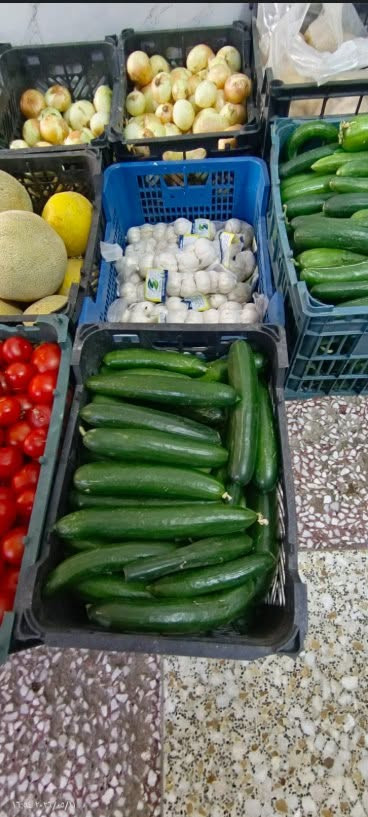 حر الصيف عوفه علينا.. ومسواكك يوصل لِـ باب بيتك! ☀️🍅

السلام عليكم .. تحية طيبة لأهلنا . ✨

احتراماً لوقتكم وما نريد تعبكم بهذا الحر والسموم، وبدل ما تطلعون وتتعبون بالأسواق، إحنا راح نريحكم! مسواككم اليومي من الخضروات والفواكه الطازجة والدرجة أولى (طماطة، خيار، باذنجان، وكلشي يحتاجه المطبخ العراقي) صار يوصلكم مثل ما تحبون وبأعلى جودة.

💡 ليش تختارنا؟
✅ توصيل سريع: نغطي كل مناطق الديوانية وبدون تأخير.
✅ بضاعة مكفولة 100%: القطعة الماتعجبكم ترجع فوراً وما يكون خاطركم إلا طيب، لأن رضاكم هو هدفنا الأول.
✅ الأمانة والثقة: ثقتكم بينا هي رأس مالنا الحقيقي.

لا تتعب نفسك بالطلعة.. راسلنا هسة على الواتساب وإحنا بخدمتك ونجهزك بأفضل ما يكون 👇
📱 ***********
