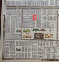 عرصة • ١٥٠م • الحولي الثاني