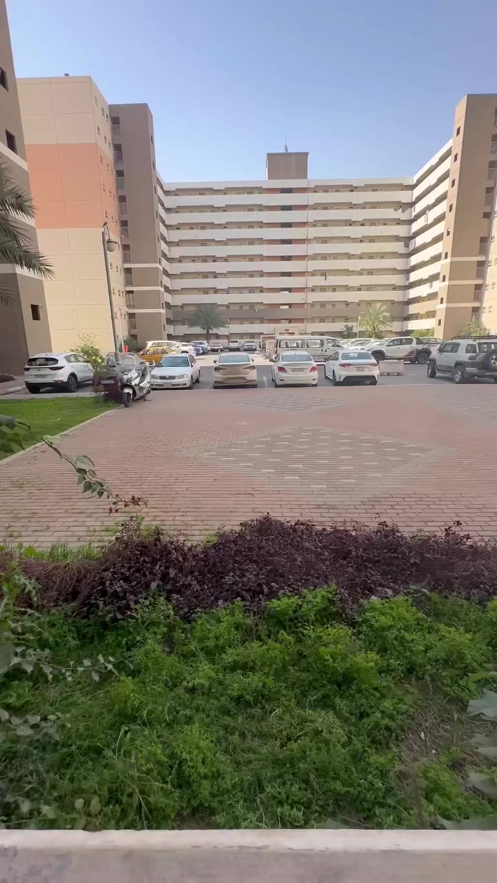 شقة للبيع طابق ارضي نظام غربي نقد كاش تحويل مباشر استلام فوري سعرها ب ١٢٤ مليون
***********
