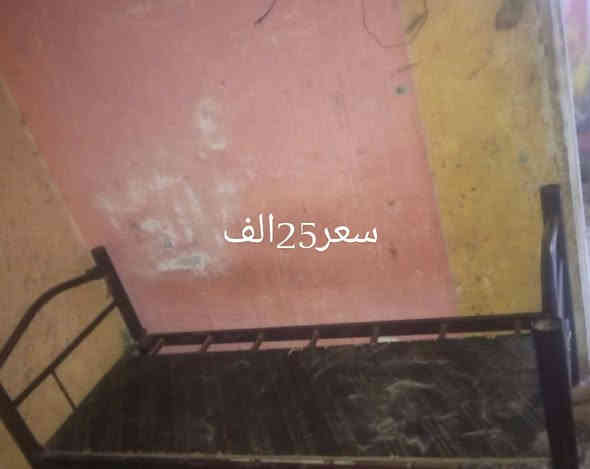 مكلف بالنشر هذا رقم راعية *********** 
الشراي يخابر راعية مكانه خورلزبير
