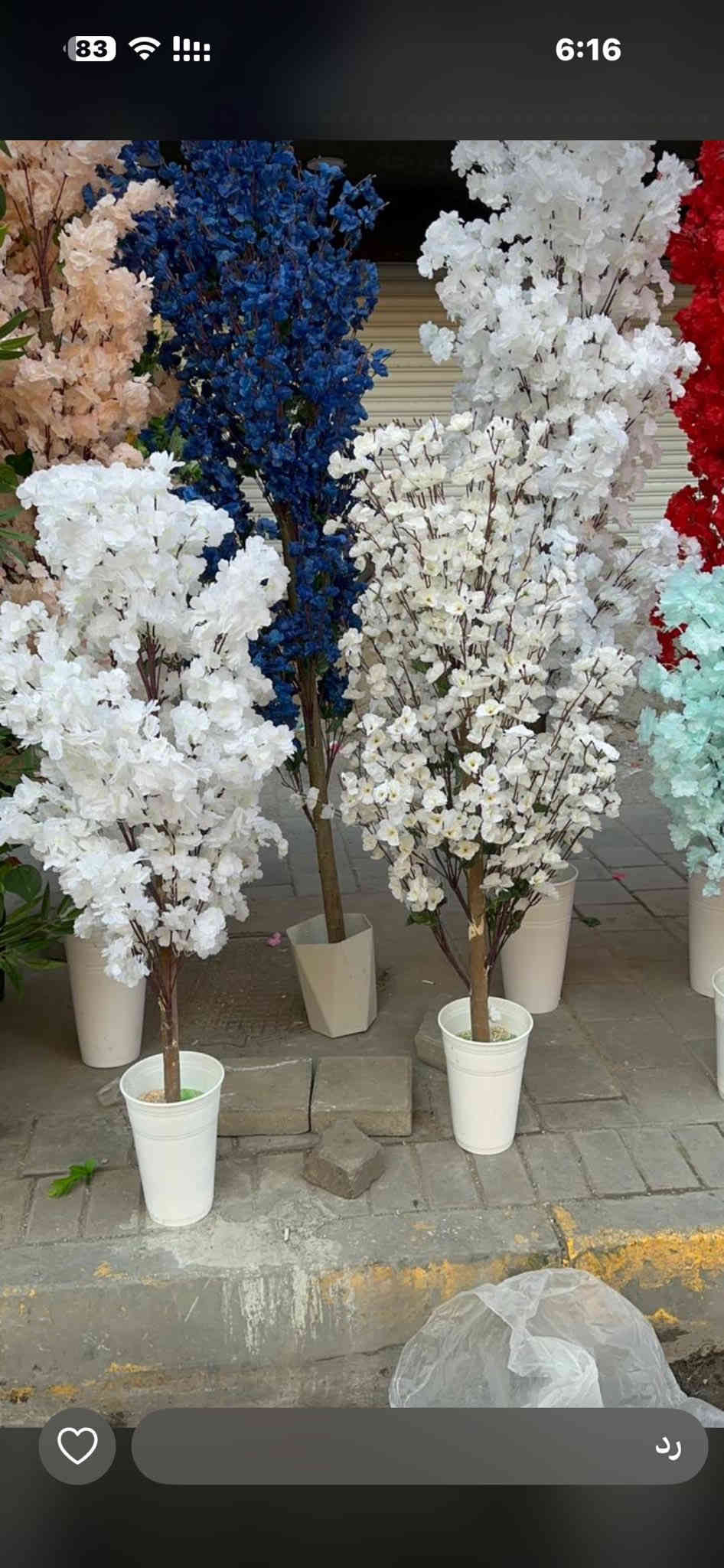 محمد ورد بغداد شورجه عماره الضمان ***********
